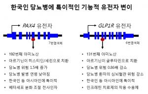 한국인 당뇨병 특이 유전자 변이 밝혀져... 당뇨병 정밀의료 기틀 마련