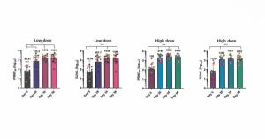 에스티팜, mRNA백신 ‘STP2104’ 임상1상 중간 결과 발표